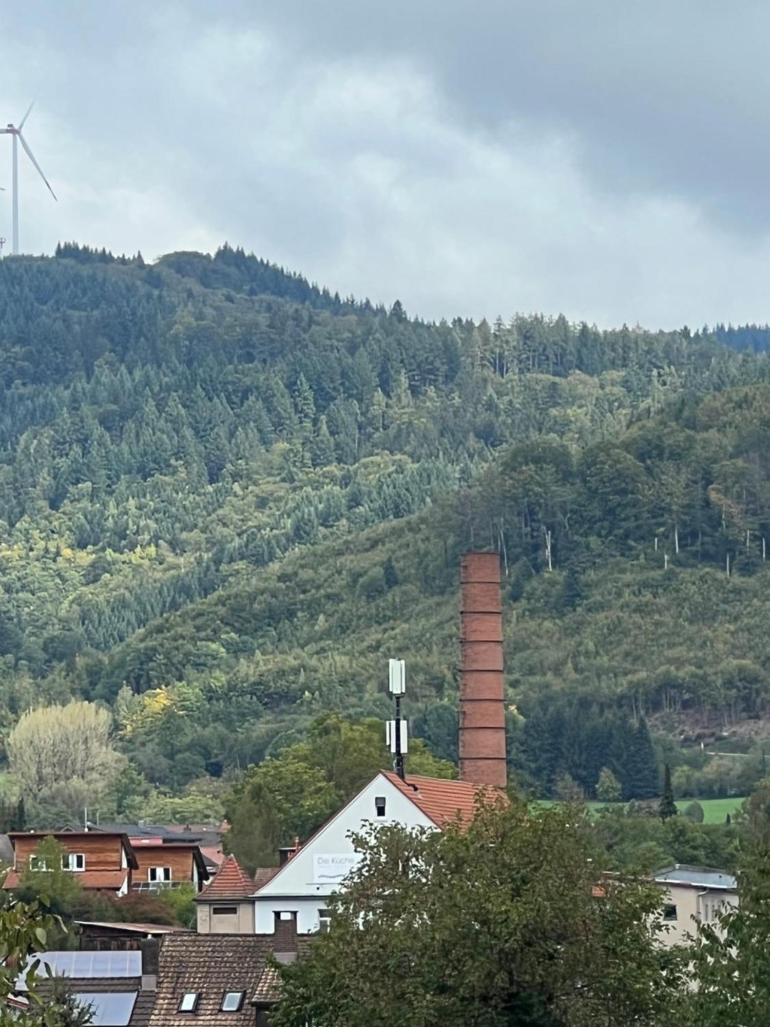 Apartamento Schloessleblick Wehr  Exterior foto